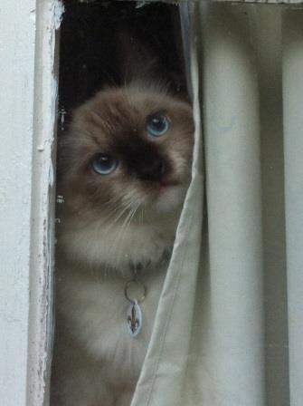 Amos longing be outside