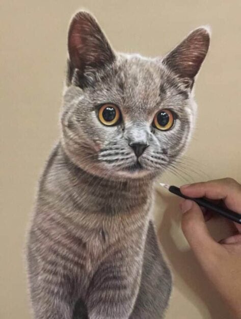 Ivan Hoo Cat Artist Painter IMG_9819