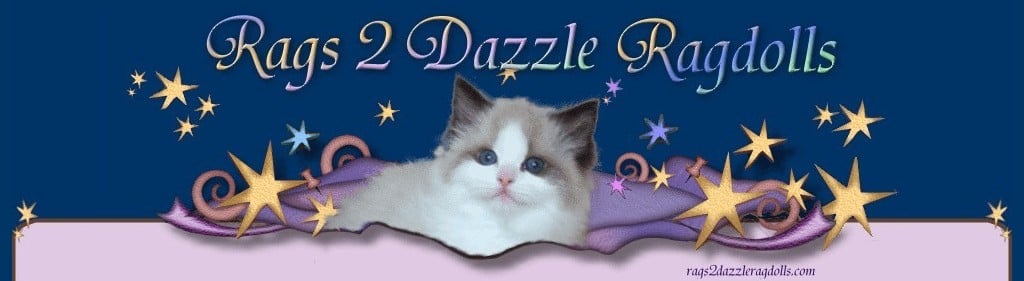 Rags 2 Dazzle Ragdolls