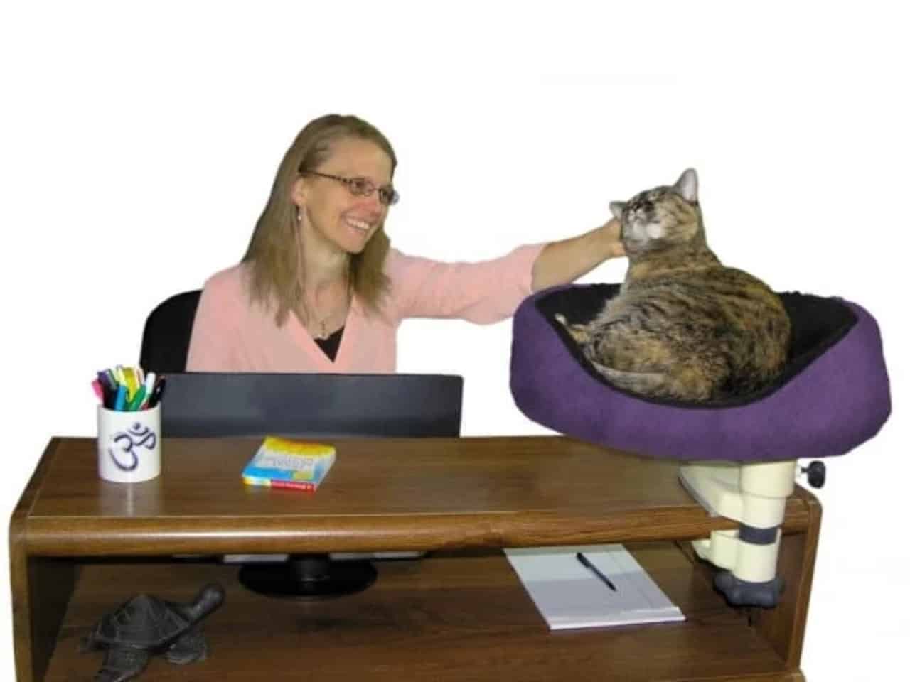 Desk Nest™ Best Desktop Cat Bed Desktop Cat Seat