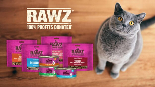 RAWZ August Giveaway 2025 Floppycats