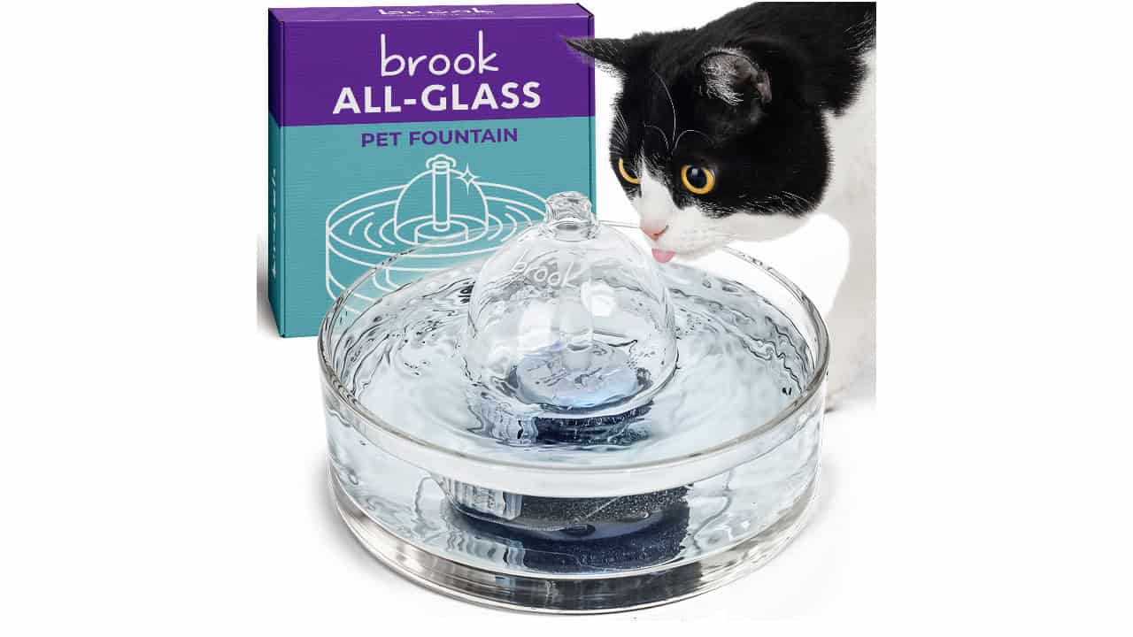BROOK All-Glass Cat Fountain
